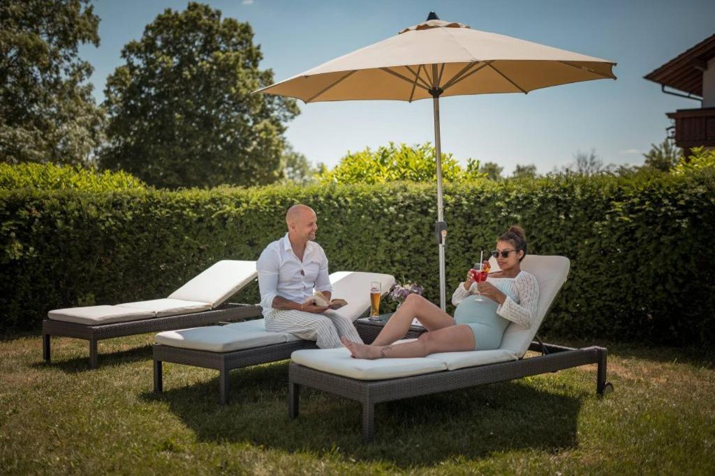 Hotel Donaublick Scheer Zewnętrze zdjęcie