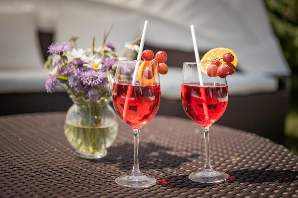 Hotel Donaublick Scheer Zewnętrze zdjęcie